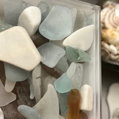 貝殻やシーグラスの画像