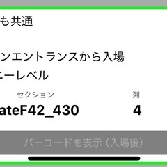 琉球ゴールデンキングスの画像