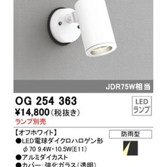 【在庫処分】オーデリック（ODELIC）照明器具 OG254363の画像