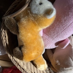 てん？フェレット？いたち？の画像