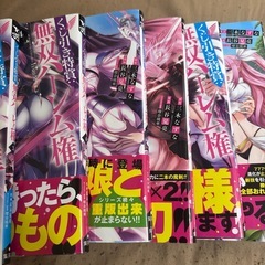 くじ引き特賞無双ハーレム券 1〜9巻セットの画像