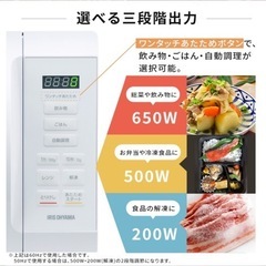 電子レンジ 17L    アイリスオーヤマの画像