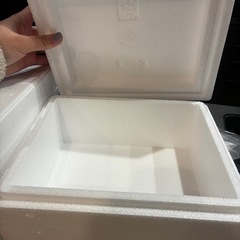 発泡スチロール　未使用品　6個セットの画像