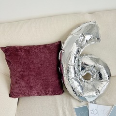 撮影用　6のバルーンの画像