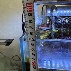 水槽と台と道具一式【決まりました】の画像