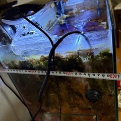 水槽と台と道具一式【決まりました】の画像