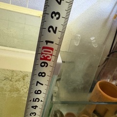プラスチック水槽とその他道具一式【決まりました】の画像