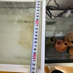 プラスチック水槽とその他道具一式【決まりました】の画像