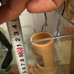 ガラス水槽と中にあるもの一式【決まりました】の画像