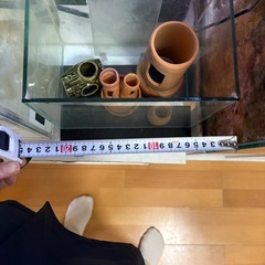 ガラス水槽と中にあるもの一式【決まりました】の画像