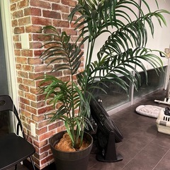 フェイクグリーン人工観葉植物 約180cm 黒ポットの画像