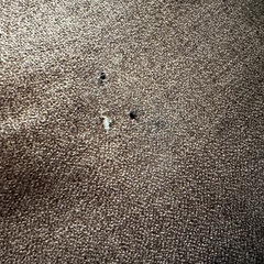 ニトリ ローソファの画像