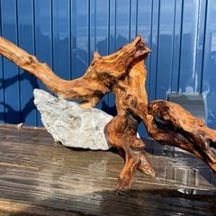 水槽用　レイアウト品の画像