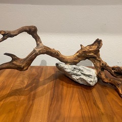 水槽用　レイアウト品の画像