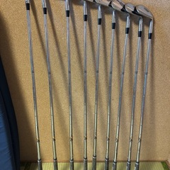 フォージド-TタイガースペックFORGED-T TIGER SPECの画像