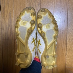 サッカー スパイク DS LIGHT ACROS PRO 2 27.0cmの画像