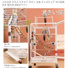 鳥かごの画像