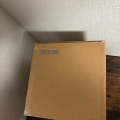 新品未開封　ONE PIECE　ワンピース　ベガパンク　悪（リリス）　フィギュアの画像