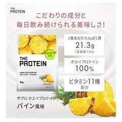 ザプロテインパイン味新品未開封の画像