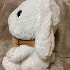 ウサギのぬいぐるみの画像