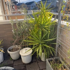 ガーデン用品　好きなだけ
の画像