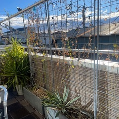 ガーデン用品　好きなだけ
の画像