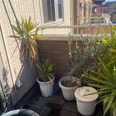 ガーデン用品　好きなだけ
の画像