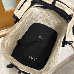 【超使用感あり】エアバギーウィズの画像