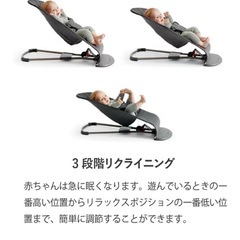 ベビービョルン　現行最上位モデル　美品　ケース付きの画像