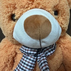 くま　ぬいぐるみの画像