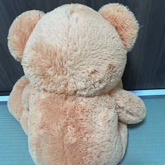 くま　ぬいぐるみの画像