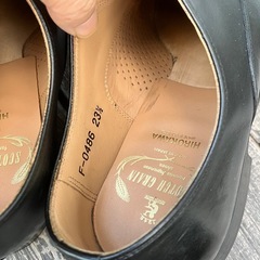 スコッチグレイン　　ビジネスジュース　23.5の画像