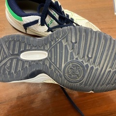 アシックス靴:22cmの画像