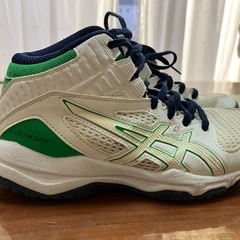 アシックス靴:22cmの画像