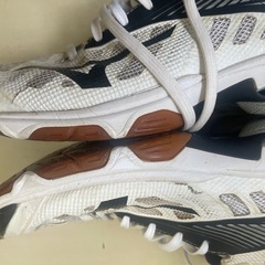 ミズノ 室内用シューズ 26cm前後 中古 500円の画像