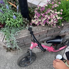 今日中にお約束頂ける方へ❣️
ボロボロのストライダーの画像