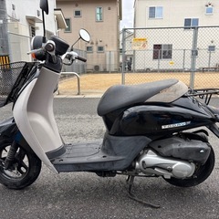 ホンダ、トゥデイ、原付の画像