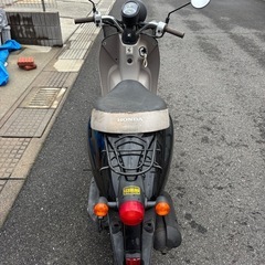 ホンダ、トゥデイ、原付の画像