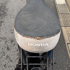 ホンダ、トゥデイ、原付の画像