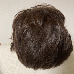 [未使用品]ショートウィッグ　　の画像