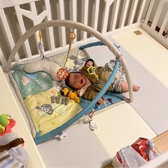 3wayベビープレイジムの画像