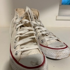 コンバース24センチの画像