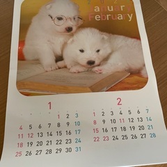 2026 犬カレンダー　の画像