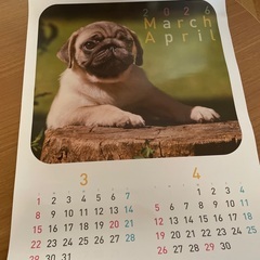 2026 犬カレンダー　の画像