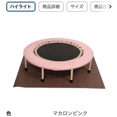 室内用　トランポリンの画像