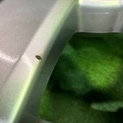 【中古】 トヨタ TOYOTA 純正 トヨタ純正 ANH25W アルファード 16ｲﾝﾁ 6.5J 5穴 4本 114.3 +33 ホイール アルミ シルバーの画像