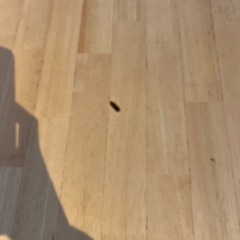 【おしゃれ】ベンチ椅子付きダイニングテーブルセットの画像