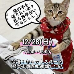 今年最後⛄Cat 🐾Start（キャットスタート）🐱保護猫…