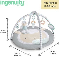 インジュニティ　ベビージムの画像