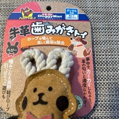 犬用 おもちゃ 新品未使用品の画像